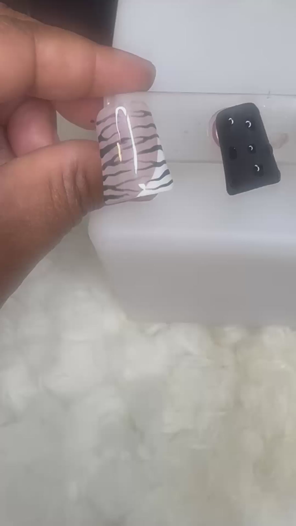 Pretty Zebra