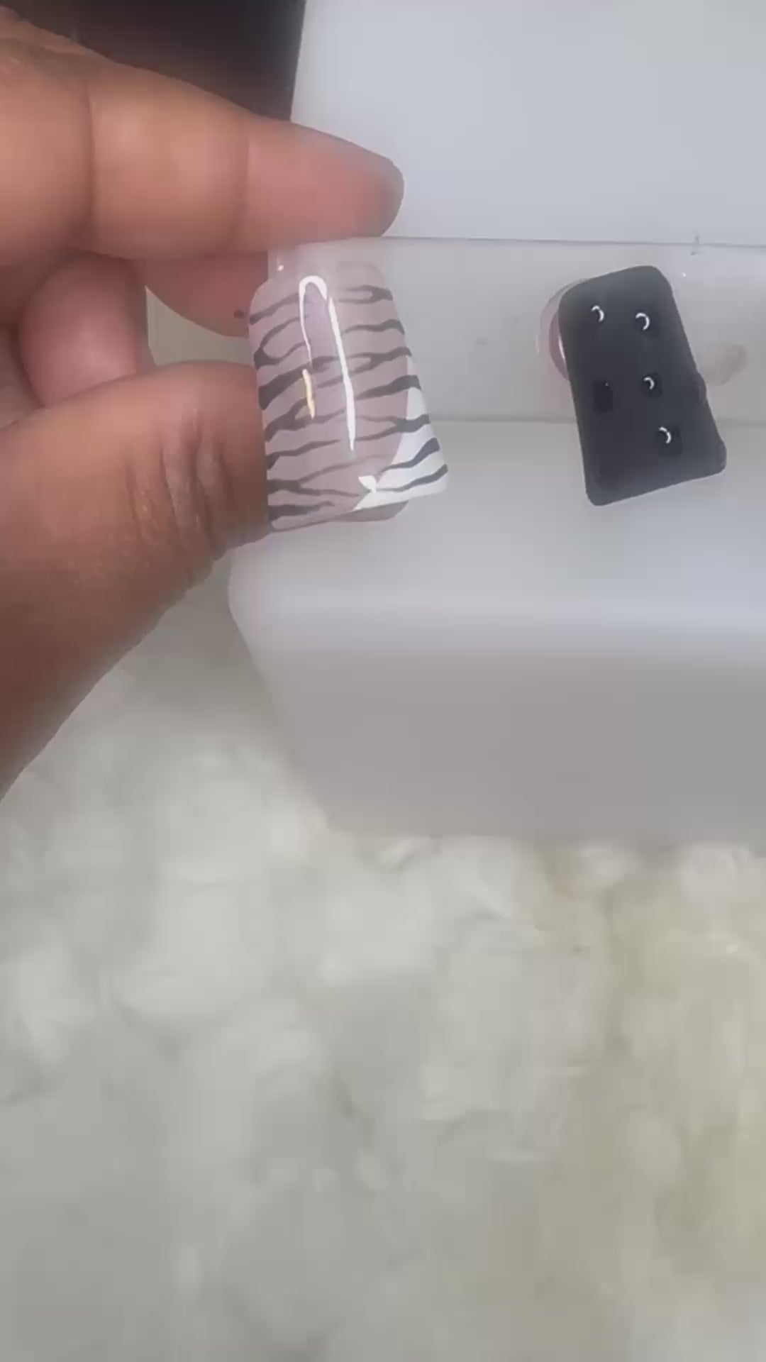 Pretty Zebra